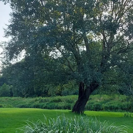 Joevaara Veskitalu * Paeaesna