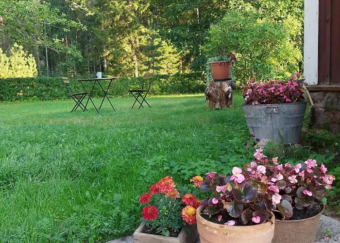 Joevaara Veskitalu *