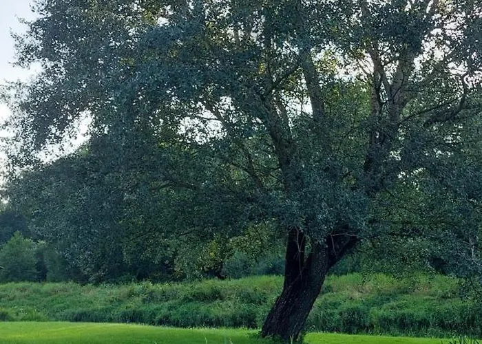 Joevaara Veskitalu * Paeaesna