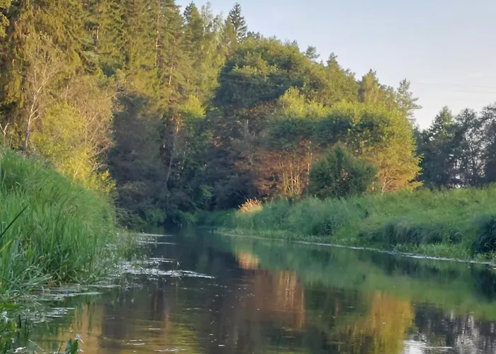 Joevaara Veskitalu *